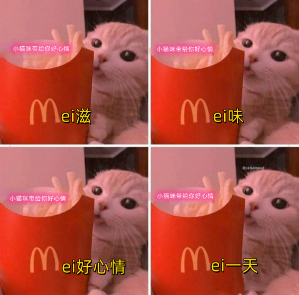 MEMES 02 麦当劳小猫_副本.png