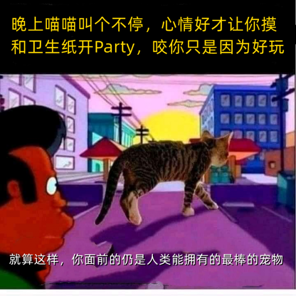 MEMES 05 喵星人的骄傲.png